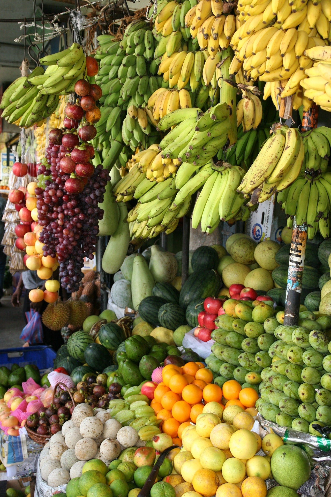 Alimentos de Temporada: Descubre las Frutas y Verduras más Saludables para el Verano
